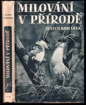 Milování v přírodě