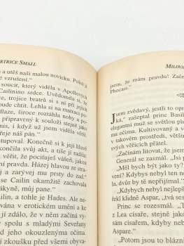 Bertrice Small: Milovat znovu