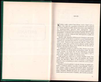 Bertrice Small: Milovat znovu