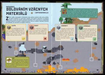 Stephanie Milton: Minecraft