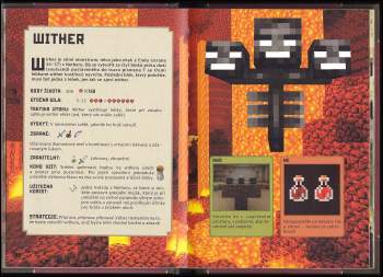 Stephanie Milton: Minecraft