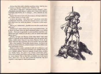 Eduard Štorch: Minehava