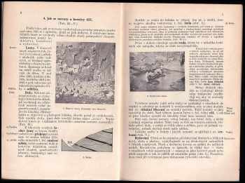 Gustav Daněk: Mineralogie a geologie