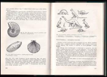 Václav Babuška: Mineralogie, petrografie a geologie