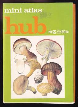 Martin Červenka: Mini atlas hub