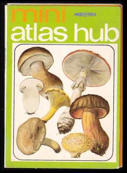 Mini atlas hub