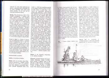 Radomír Pleiner: Minilexikon k dějinám lodí a námořní plavby