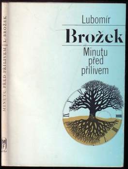 Minutu před přílivem