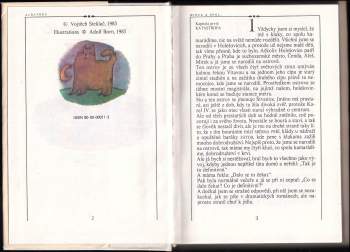 Vojtěch Steklač: Mirek & spol