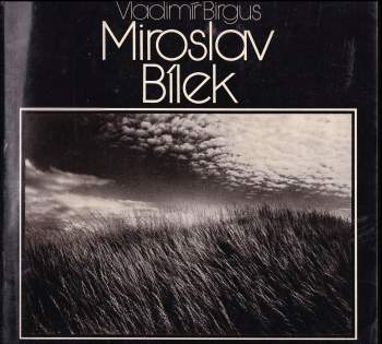 Miroslav Bílek