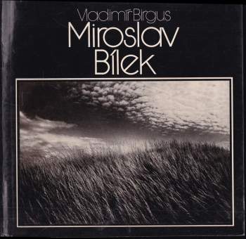 Vladimir Birgus: Miroslav Bílek
