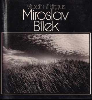 Miroslav Bílek