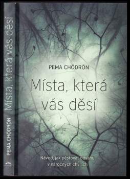 Pema Čhödrön: Místa, která vás děsí