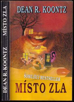 Dean R Koontz: Místo zla