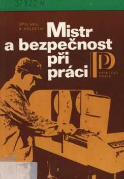 Mistr a bezpečnost při práci