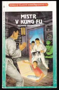 Mistr v kung fu