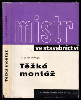 Mistr ve stavebnictví
