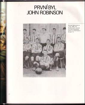 Ivo Viktor: Mistři robinzonád