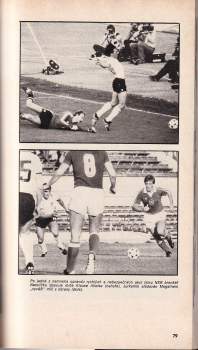 František Černoch: Mistrovství Evropy v kopané 1980