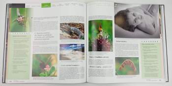 Ondřej Neff: Mistrovství práce s DSLR