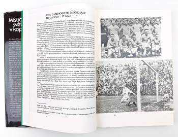 František Černoch: Mistrovství světa v kopané 1982