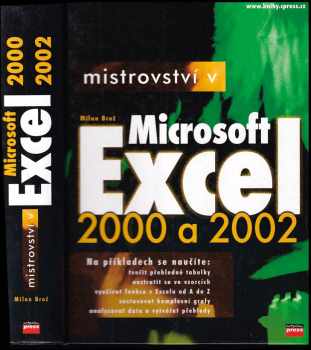 Milan Brož: Mistrovství v Microsoft Excel 2000 a 2002 - BEZ CD