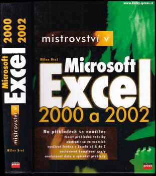 Mistrovství v Microsoft Excel 2000 a 2002