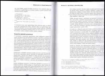 Mistrovství v Microsoft Visual Basicu 6.0