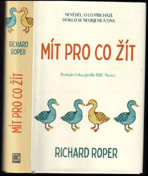 Mít pro co žít