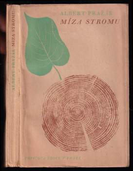 Míza stromu
