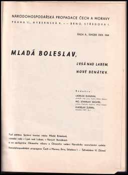 Karel Vik: Mladá Boleslav, Lysá nad Labem, Nové Benátky