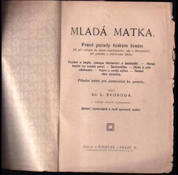 Luděk Svoboda: Mladá matka