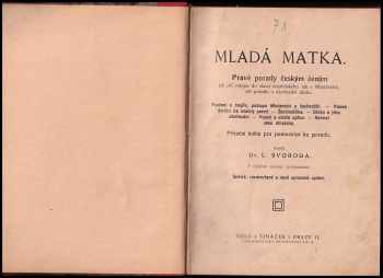 Luděk Svoboda: Mladá matka