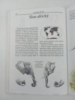 Evžen Kůs: Mláďata v zoo