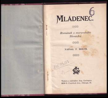 F Holub: Mládenec