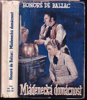 Mládenecká domácnost