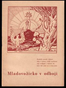 Mladovožicko v odboji