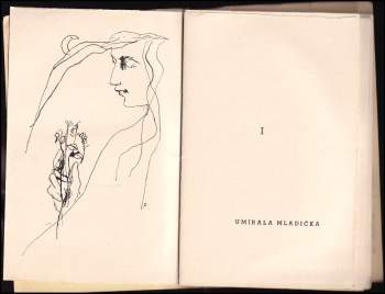 Jiří Škvor: Mladý čas