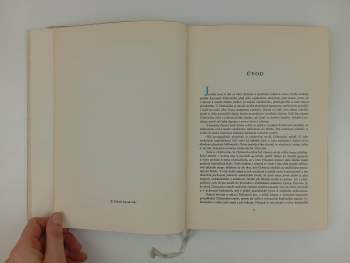 Zdeněk Sejček: Mladý Chittussi