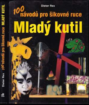 Mladý kutil : 100 návodů pro šikovné ruce
