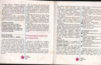 Alois Štika: Mladý požárník