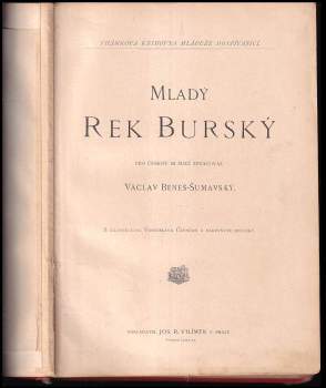 Václav Beneš Šumavský: Mladý rek burský