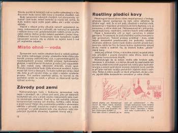 Vilém Reichmann: Mladý technik