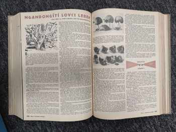 Vladimír Babula: Mladý Technik KOMPLETNÍ ROČNÍKY VII. - XX. CHYBÍ POUZE ROČNÍK XVIII. (1964)
