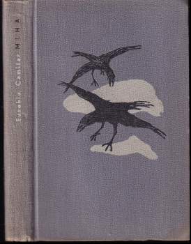 Eusebiu Camilar: Mlha