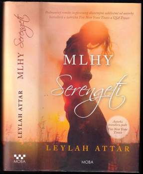 Mlhy Serengeti