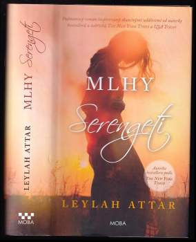 Mlhy Serengeti