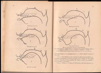 Alois Gregor: Mluvnice jazyka českého pro vyšší třídy středních škol