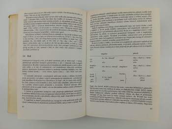 Libuše Dušková: Mluvnice současné angličtiny na pozadí češtiny