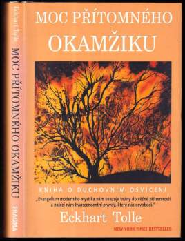 Moc přítomného okamžiku